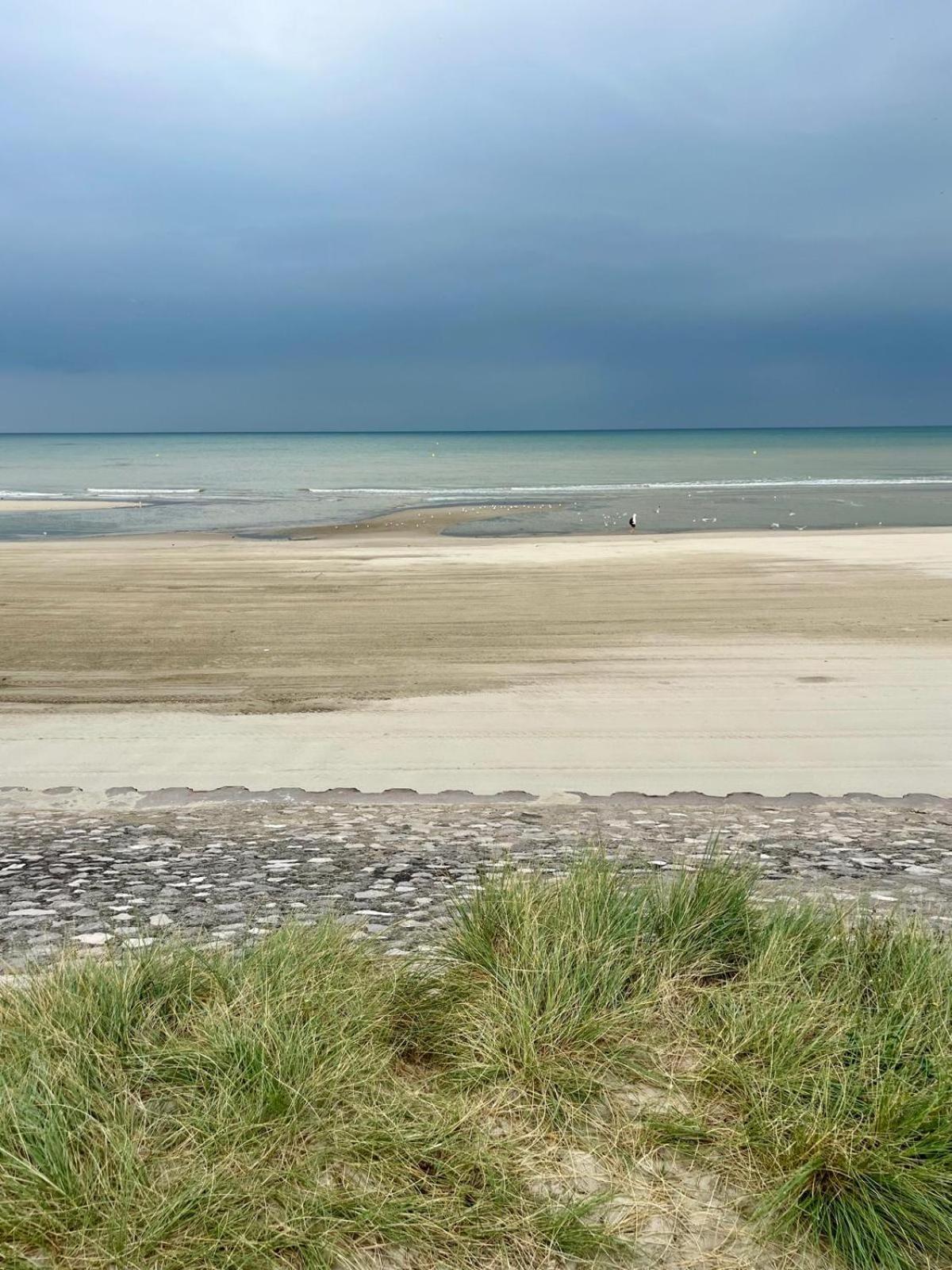 L Oree De La Pinede Hardelot Plage A 800 Metres De La Mer Sous Les Pins Ngoại thất bức ảnh