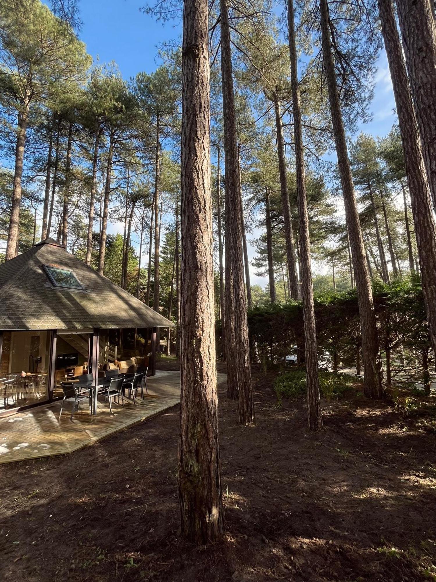 L Oree De La Pinede Hardelot Plage A 800 Metres De La Mer Sous Les Pins Ngoại thất bức ảnh