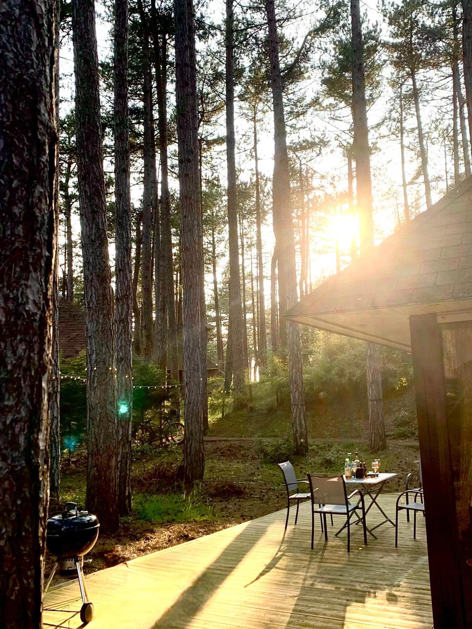 L Oree De La Pinede Hardelot Plage A 800 Metres De La Mer Sous Les Pins Ngoại thất bức ảnh